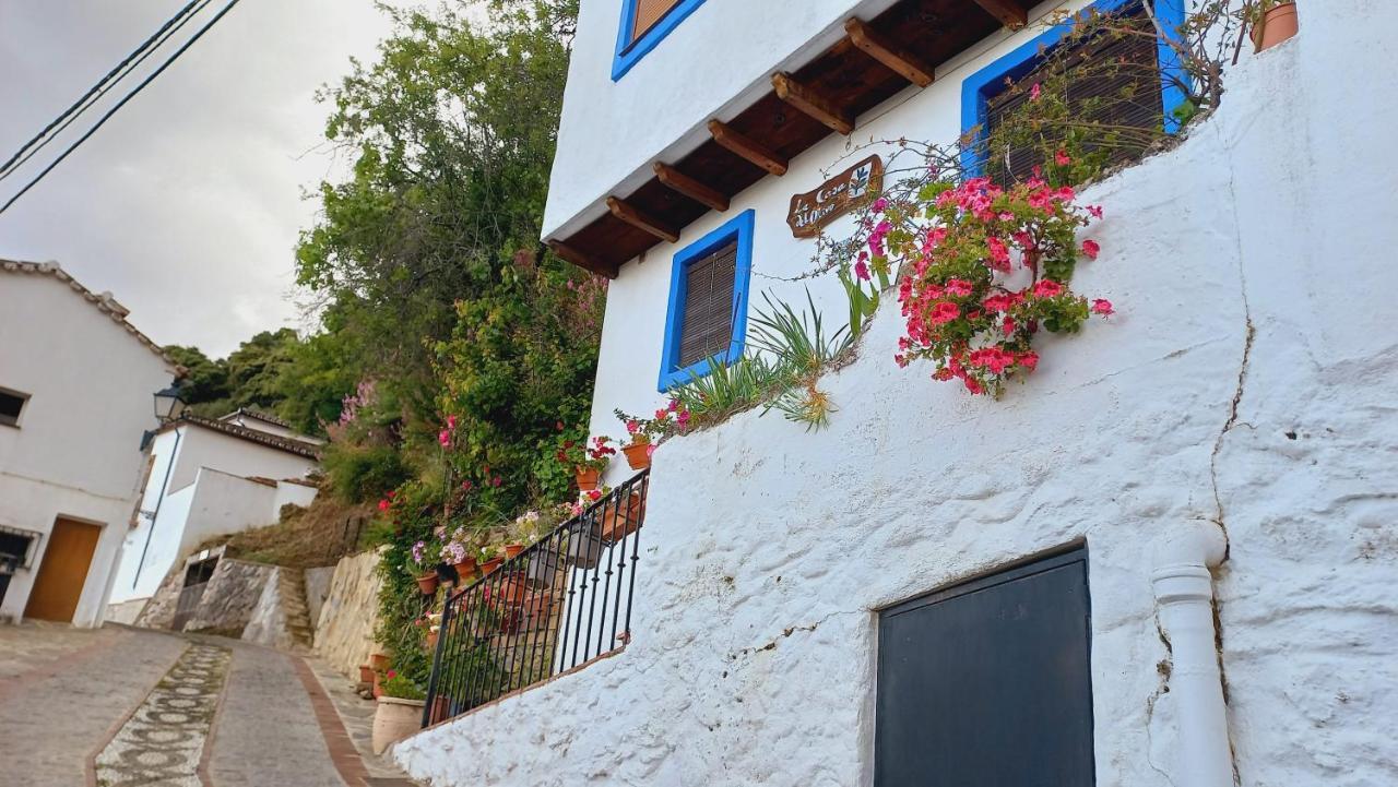 Casa El Olivo By Casaturistica Villa Benalauría Eksteriør bilde