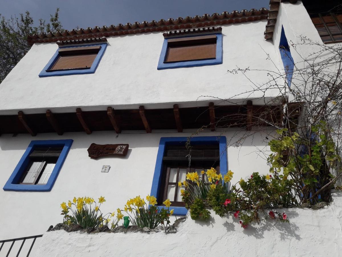 Casa El Olivo By Casaturistica Villa Benalauría Eksteriør bilde