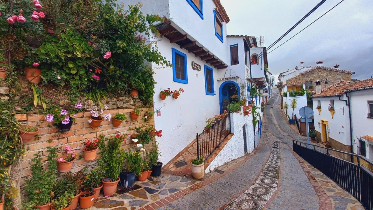 Casa El Olivo By Casaturistica Villa Benalauría Eksteriør bilde